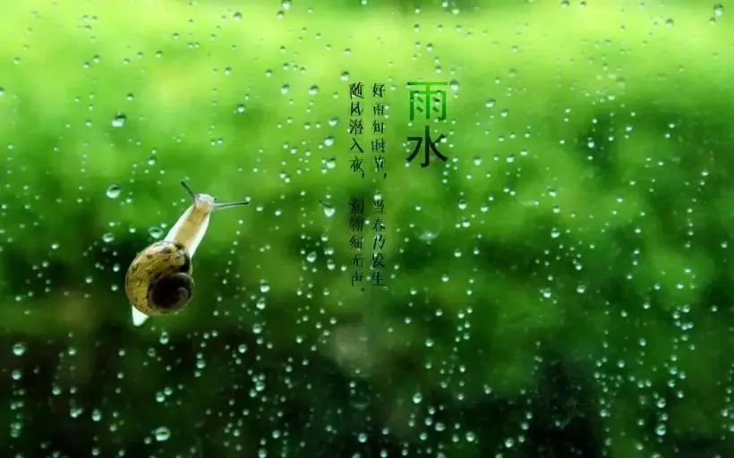 “雨水”來(lái)了，注意健脾祛濕防春寒，保健養(yǎng)生這么做！