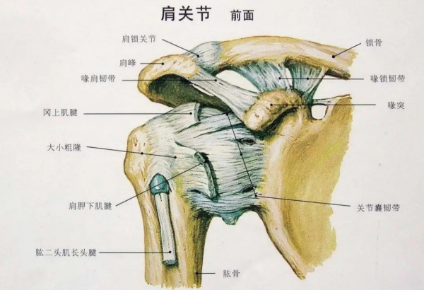 給愛打麻將的人一個(gè)養(yǎng)生理由：適度搓麻，延緩認(rèn)知衰退！