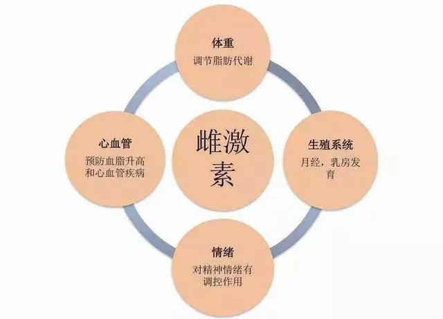 女孩們，答應(yīng)我這個(gè)器官一定要保護(hù)好