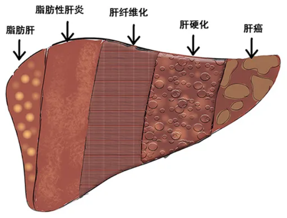 微信圖片_20221019091211.png