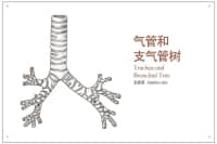 喉嚨里總有痰，痰多還吐不完？可能是這里出了問題，別不當回事！