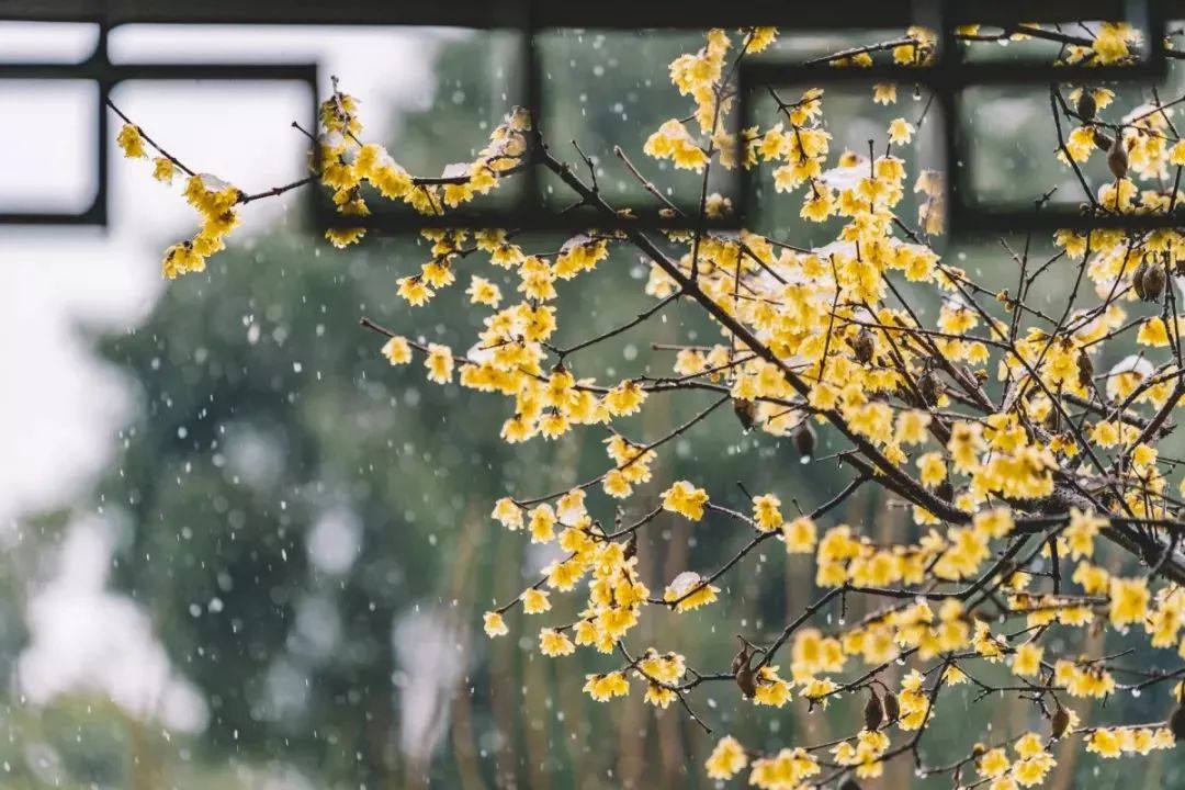 小寒，全年最冷的節(jié)氣！中醫(yī)教你正確調(diào)養(yǎng)身體